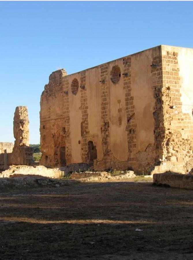 Masia De San Juan Casa Numero 1 En Castillo Con Piscina Y Aire Acondicionado セゴルベ エクステリア 写真