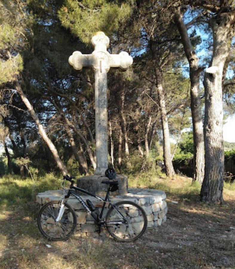 Masia De San Juan Casa Numero 1 En Castillo Con Piscina Y Aire Acondicionado セゴルベ エクステリア 写真